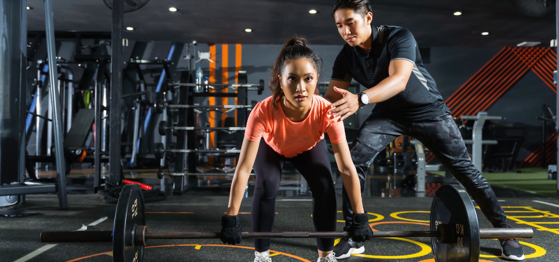 Seguro pet: cuidado completo para seu animal de estimação